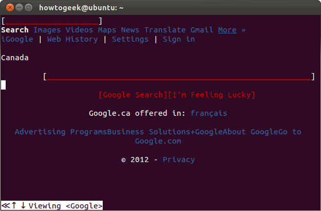 Google в W3M